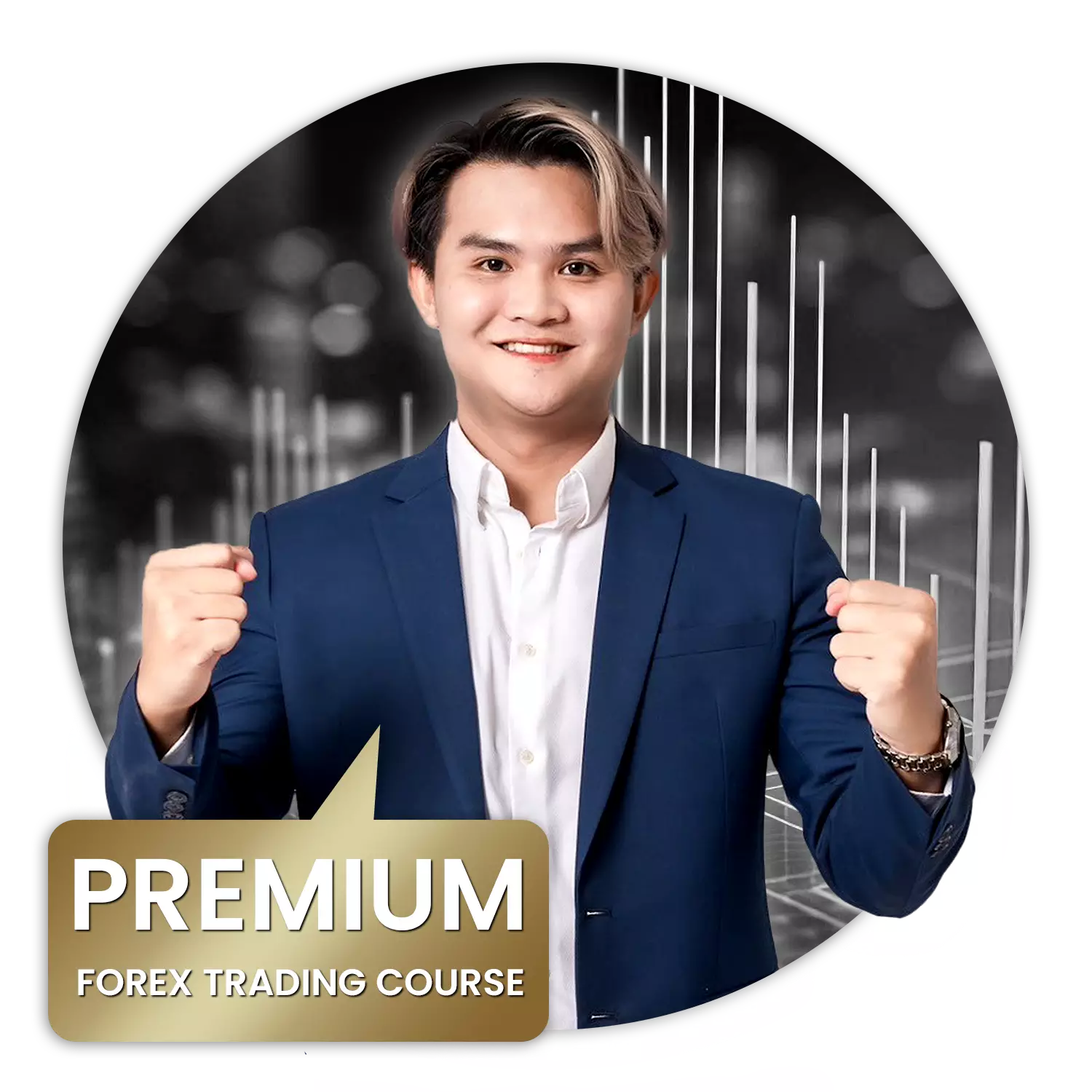 Premium forex trading course the wall street financial