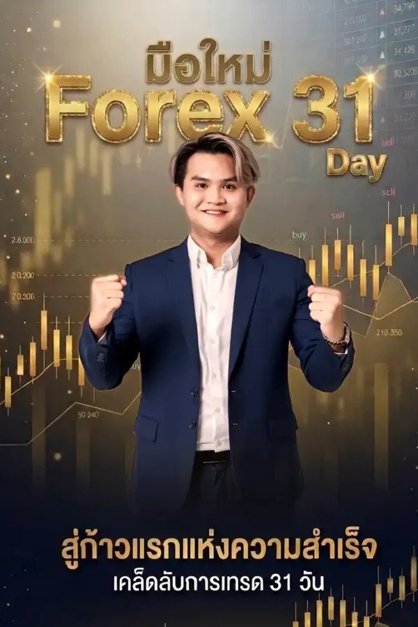 มือใหม่ Forex 31 Day
